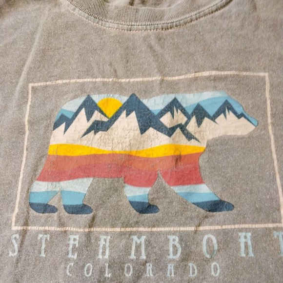 Steamboat Springs T Shirt Mountain Bear Distressed Blue Colorado Youth Small - Picture 3 of 8